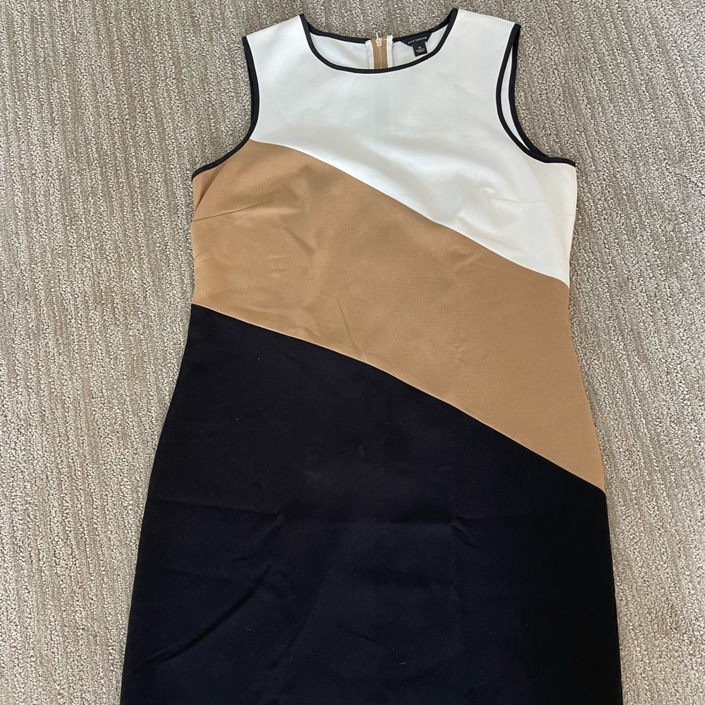 Ann Taylor dress